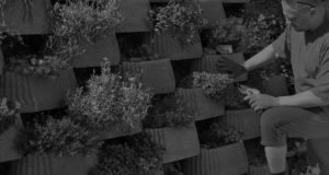 plantar-structure-sgv